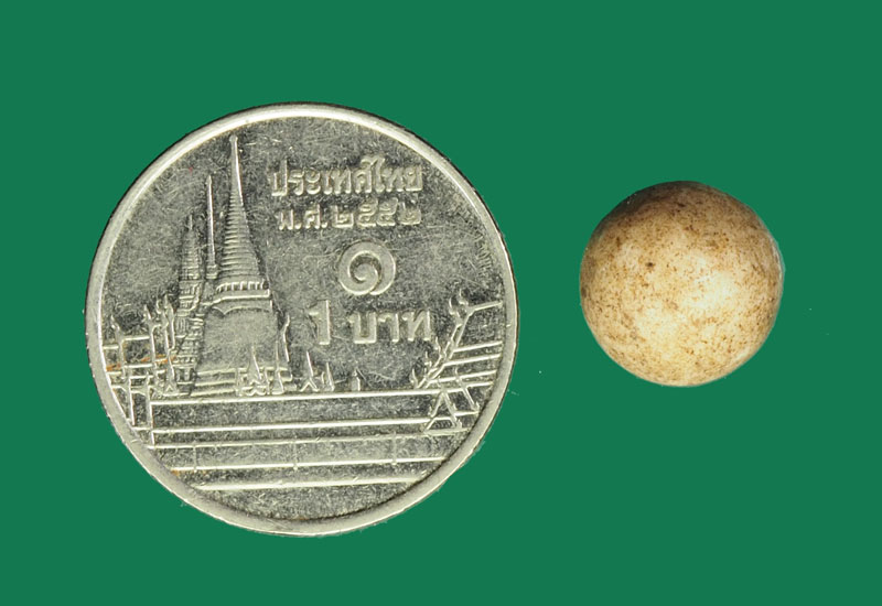 ขายแล้ว*30968 ลูกอมผงน้ำมันหลวงพ่อเเฉ่ง วัดบางพัง หรือ ลูกอมอุกกาบาตร หลวงพ่อกวย วัดโฆษิตราราม ชัยนาท 12