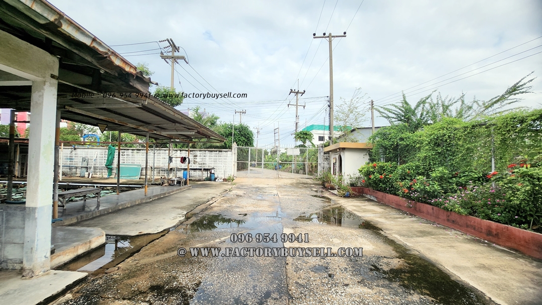 工厂出售,尺寸 10 莱,有许可证工厂 (Rg. 4), Krathum-Baen District, Samut-Sakhon ขายโรงงาน 10 ไร่ มีใบ รง.4 กระทุ่มแบน สมุทรสาคร