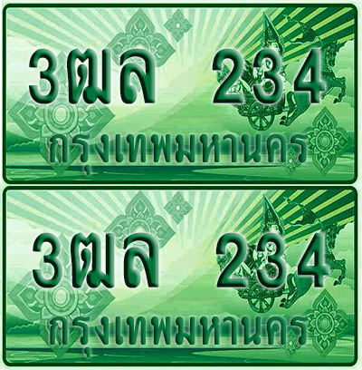 ป้ายประมูล 234 เลขรถ 3ฒล 234 กระบะแคป (1)