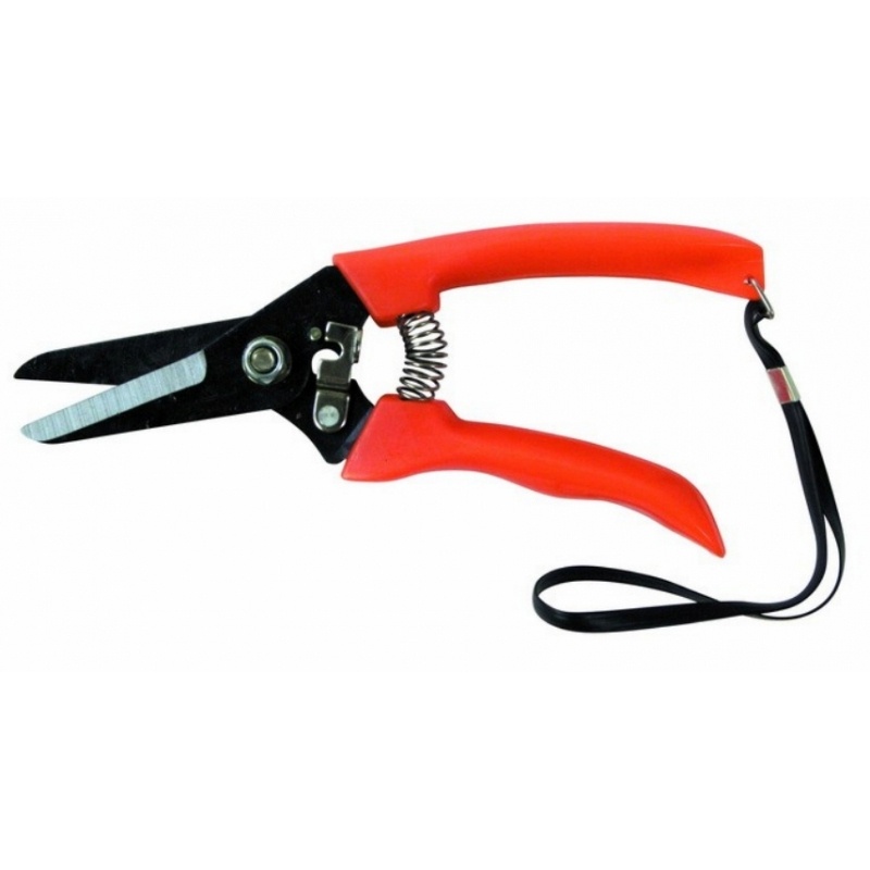 กรรไกรตัดกิ่งไม้ ปากตรง STAR #701 (ราคารวมแวท) กรรไกรตัดหญ้า กรรไกรตัดกิ่งไม้รุ่น(ขายยกกล่อง 6 อัน) {0700210801}