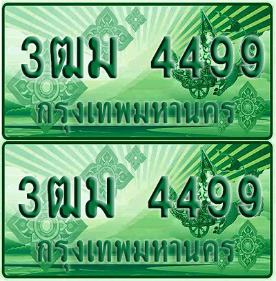 ป้ายประมูล 4499 เลขรถ 3ฒม 4499 กระบะแคป (1)