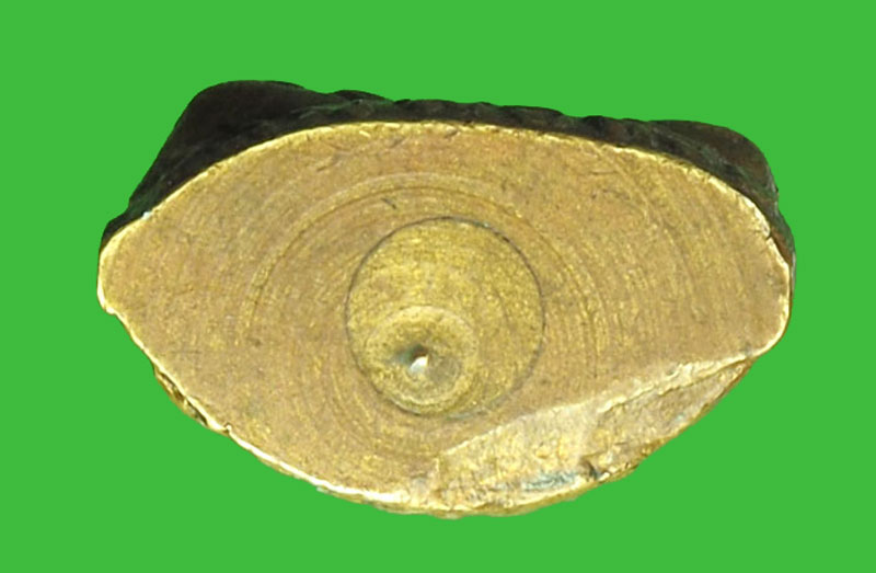 *32034 รูปหล่อปั้มอุดกริ่ง หลวงพ่อน้อย วัดคงคาราม พิจิตร 53