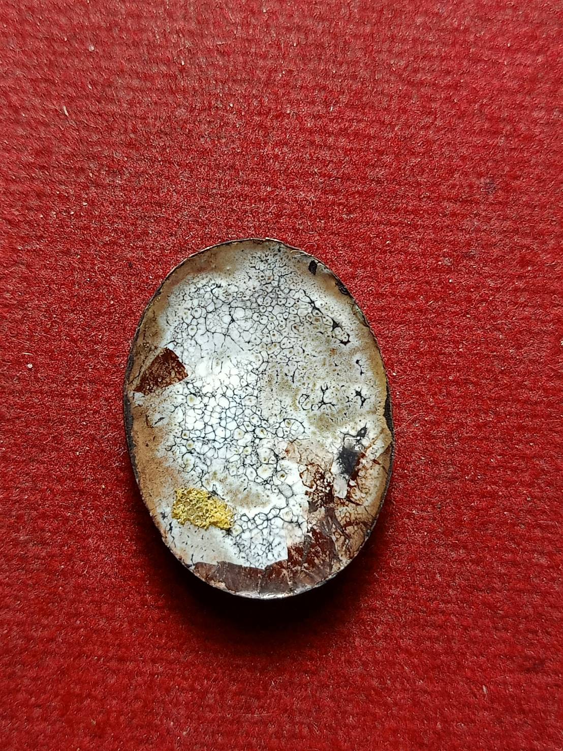 ล็อกเก็ต หลวงพ่อเส็ง วัดกัลยา กทม. ปี 2511 (SKU-13104)