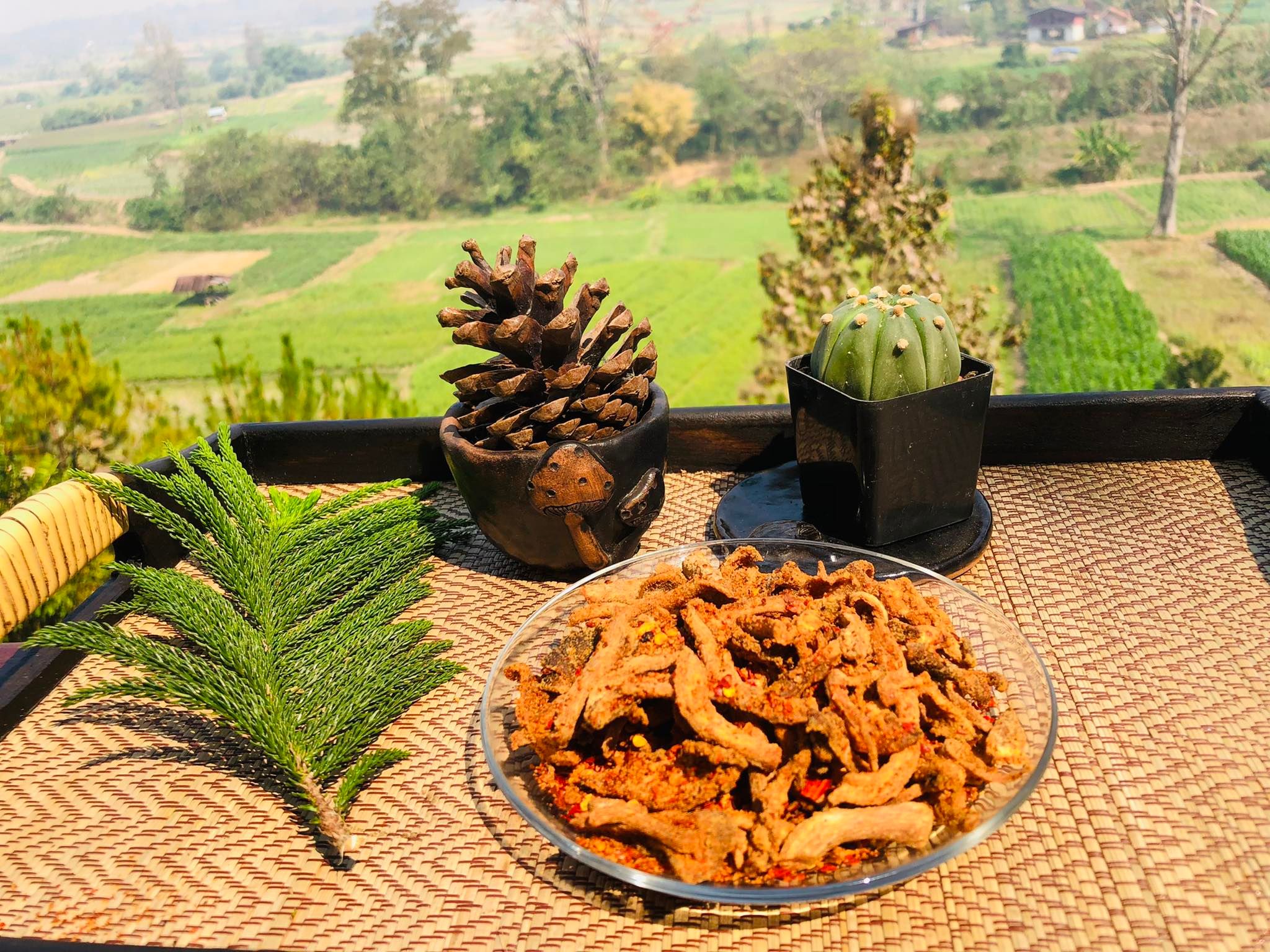 เห็ดทอดกรอบ เห็ดแปรรูป เห็ดนางฟ้าอบกรอบ เห็ดอบกรอบ เห็ดปรุงรส เห็อทอดรสหม่าล่า เห็ดสวรรค์ ฟาร์มเห็ดบ้านหัวน้ำ