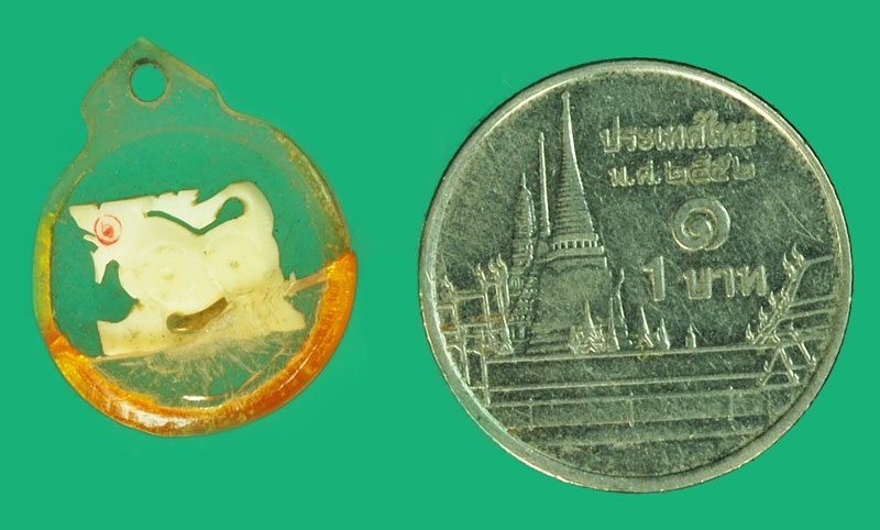 *37864 สิงห์แกะ เลี่ยมพลาสติกเก่า ไม่ทราบที่และปีสร้าง 12