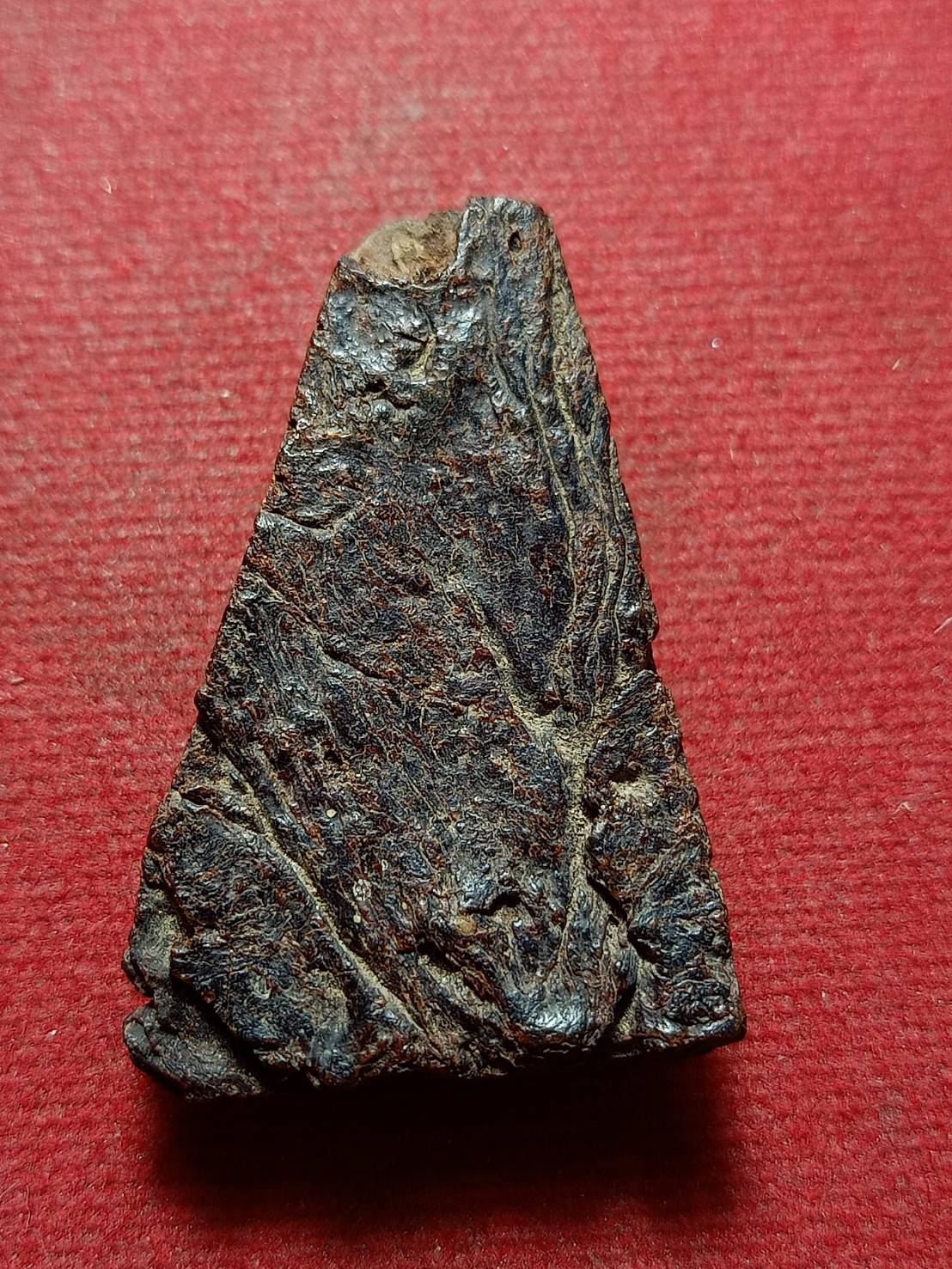 พระว่านจำปาสัก สปป.ลาว (SKU-11420)