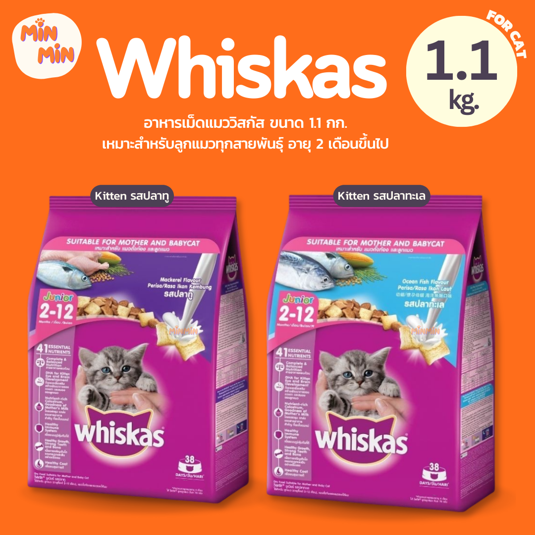 [สูตรลูกแมว 1.1kg.] WHISKAS วิสกัส จูเนียร์ อาหารลูกแมว,อาหารแมว ชนิดแห้ง สำหรับลูกแมว อายุ 2–12 เดือน