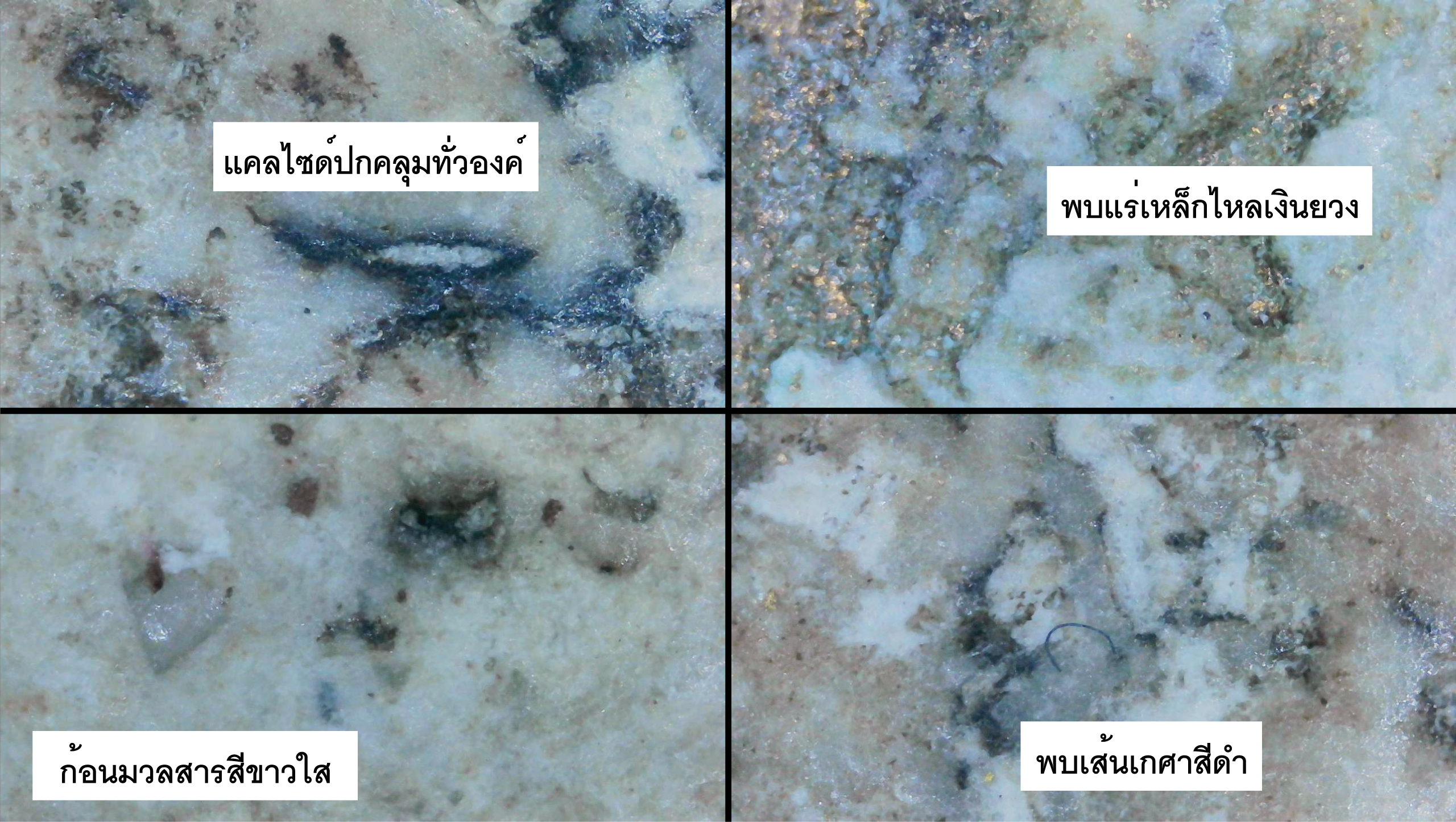 พระสมเด็จผงตะไคร่ใบเสมา ปิดทอง