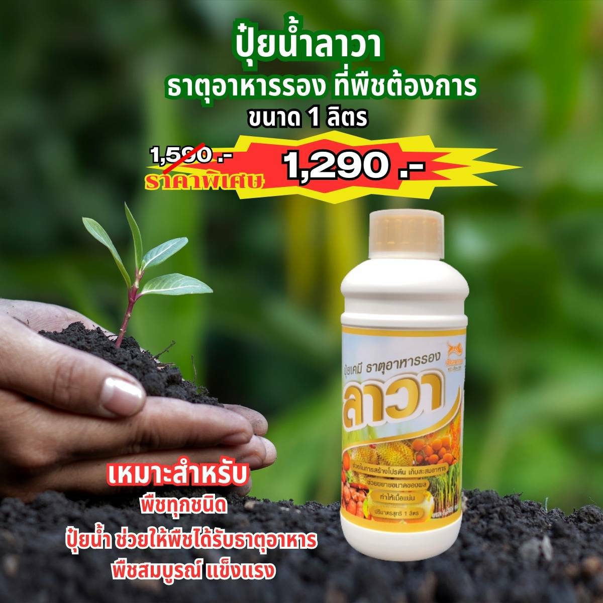 ปุ๋ยน้ำลาวาขนาดบรรจุ1000cc.จำนวน1 ขวด
