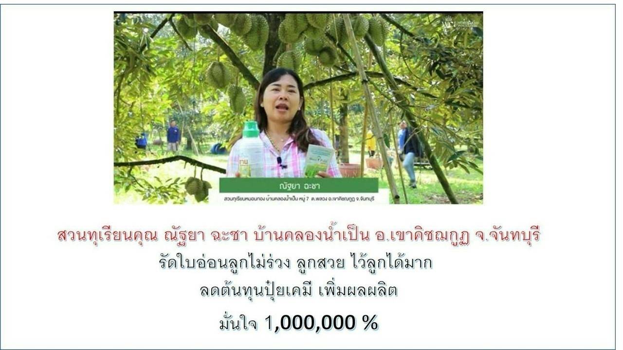 เวิลด์แพลนท์ลูกไม่ร่วง