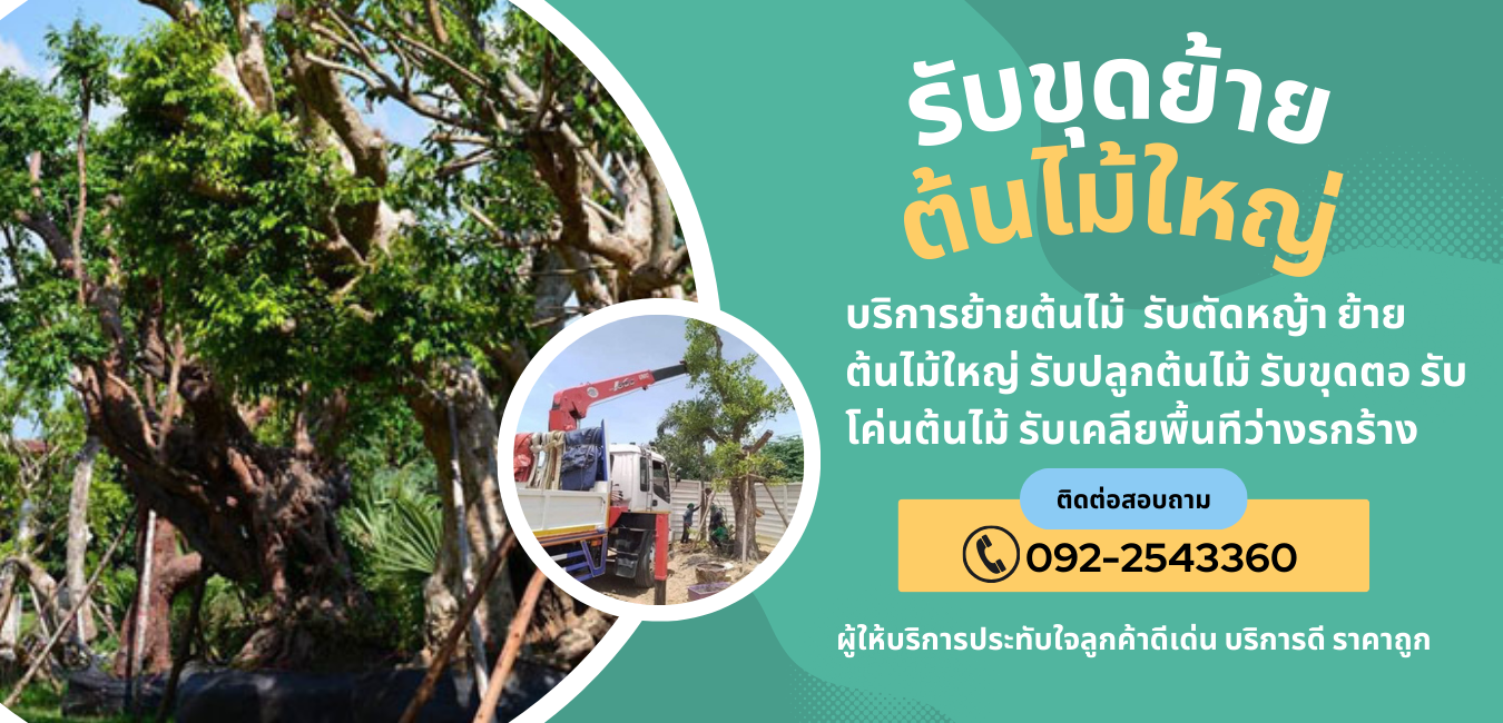 รับย้ายต้นไม้