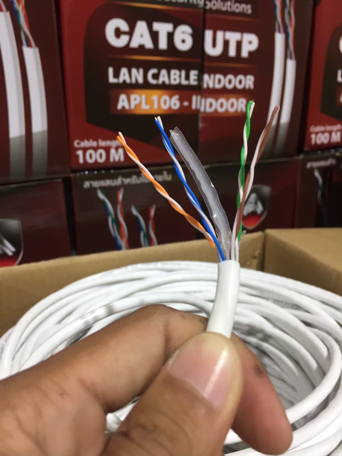 Apollo สายLAN CAT6 UTP รุ่น APL106-INDOOR 100M.