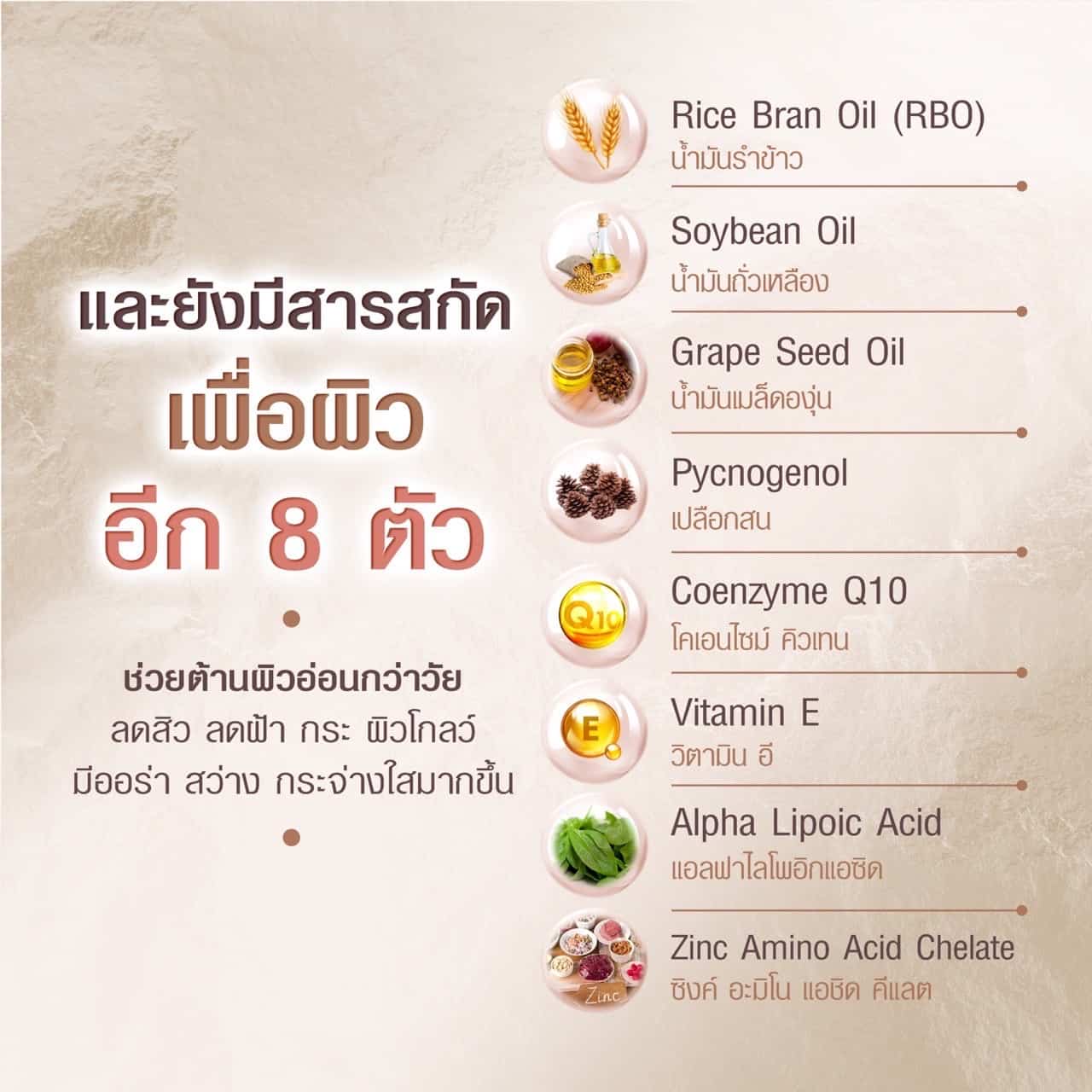 ซาคานะ รีวิว ซาคานะ รีวิว