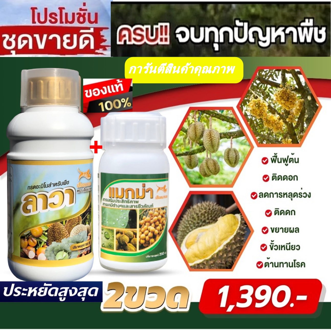 แมกม่า&ปุ๋ยลาวา(ชุดเล็ก2ขวด) แมกม่าสารเสริมประสิทธิภาพสูงดูดซึมใบพืชอย่างรวดเร็วไม่ทิ้งคราบ & ปุ๋ยน้ำลาช่วยเร่งการเจริญเติบโตไวใบเขียวเข้มแตกยอดแตกใบได้ดีเร่งโตทุกส่วนของพืช