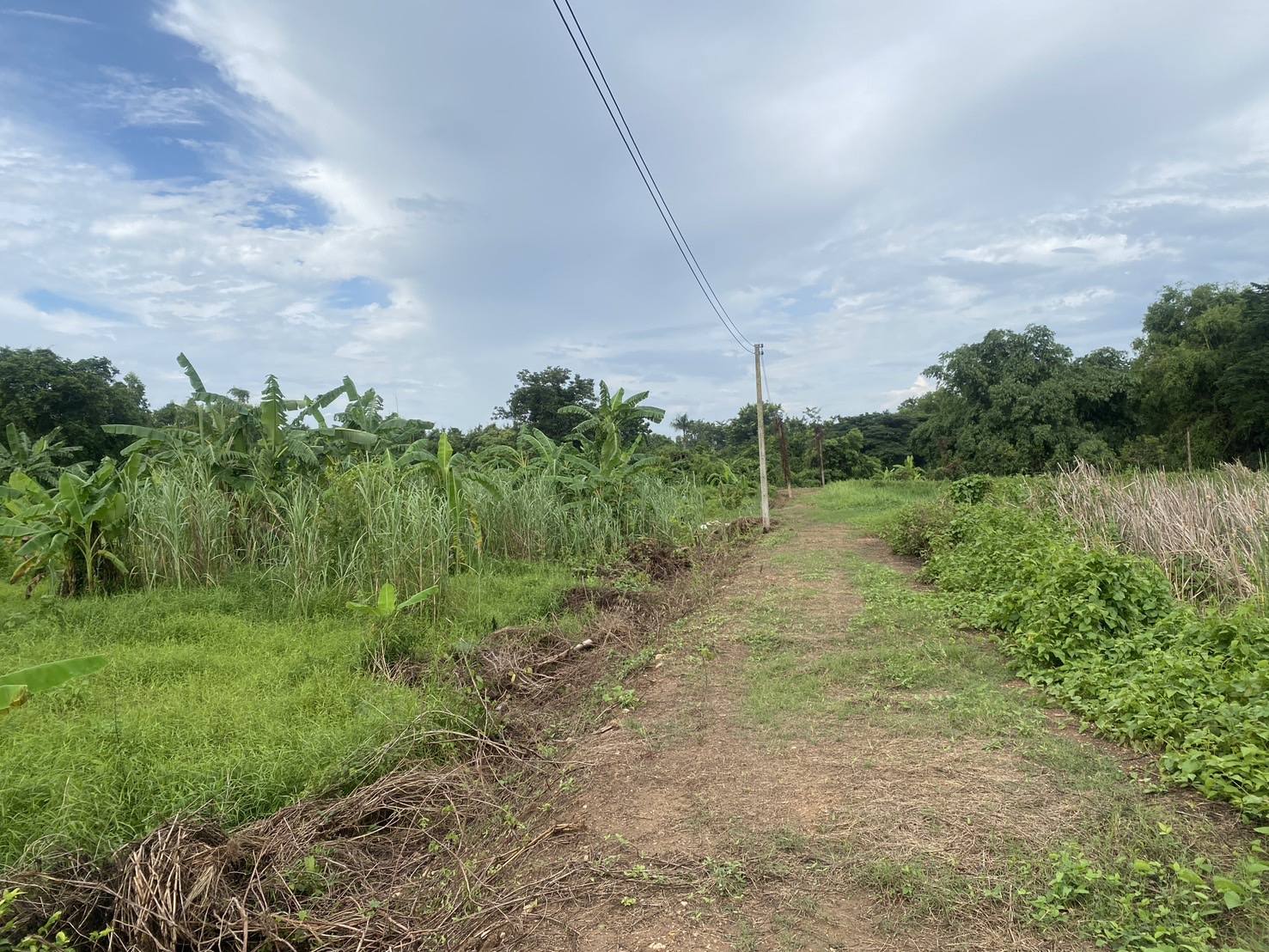 ขายที่ดินติดคลอง ราชสาส์น 3 ไร่ 1 งาน 40 ตรว. | เจ้าของขายเอง | ทำบ้านสวน ที่ดินฉะเชิงเทรา