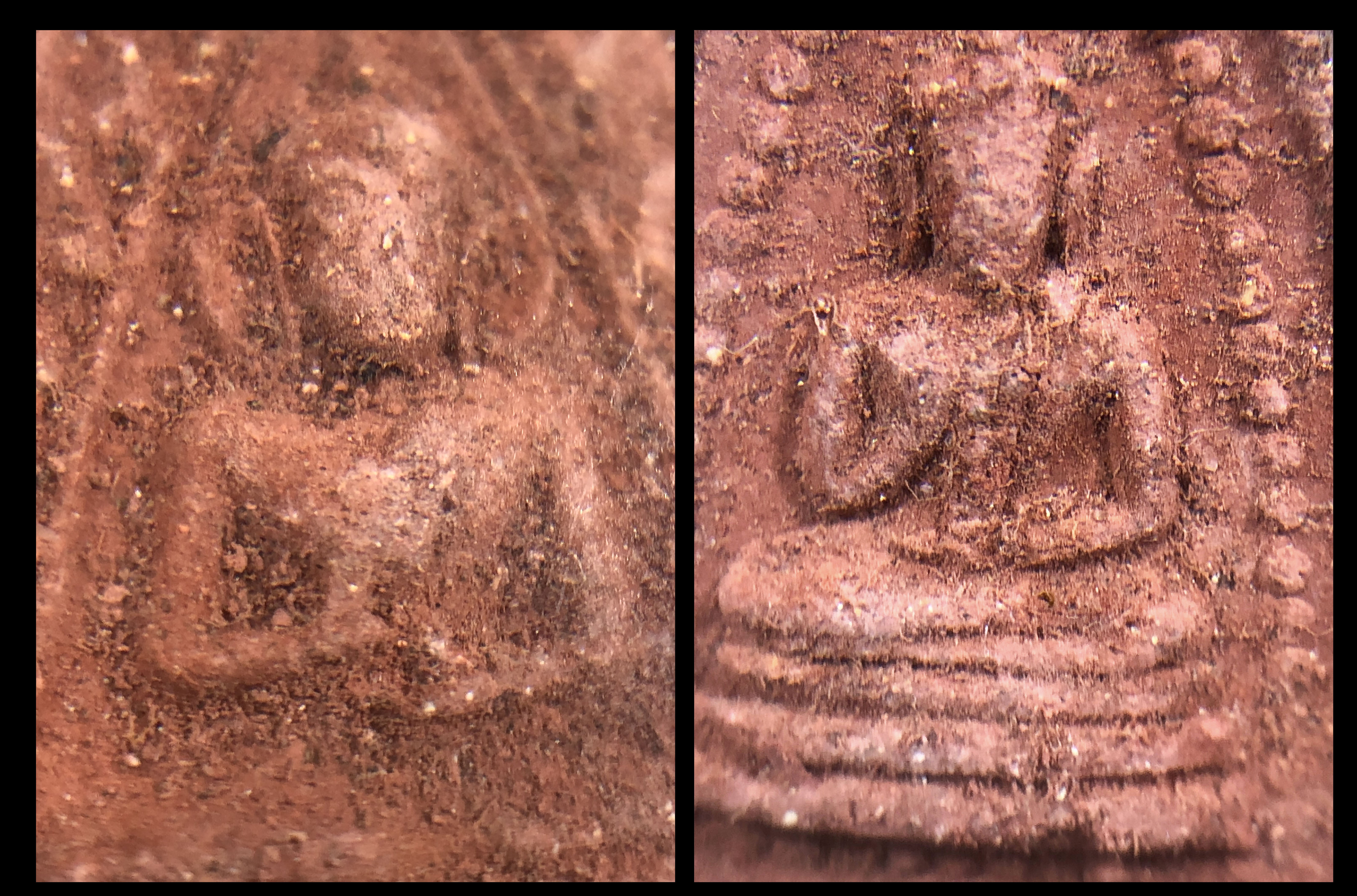 พระผงปางประทานพร หลวงปู่เฮี้ยง วัดป่า ชลบุรี ปี 2505