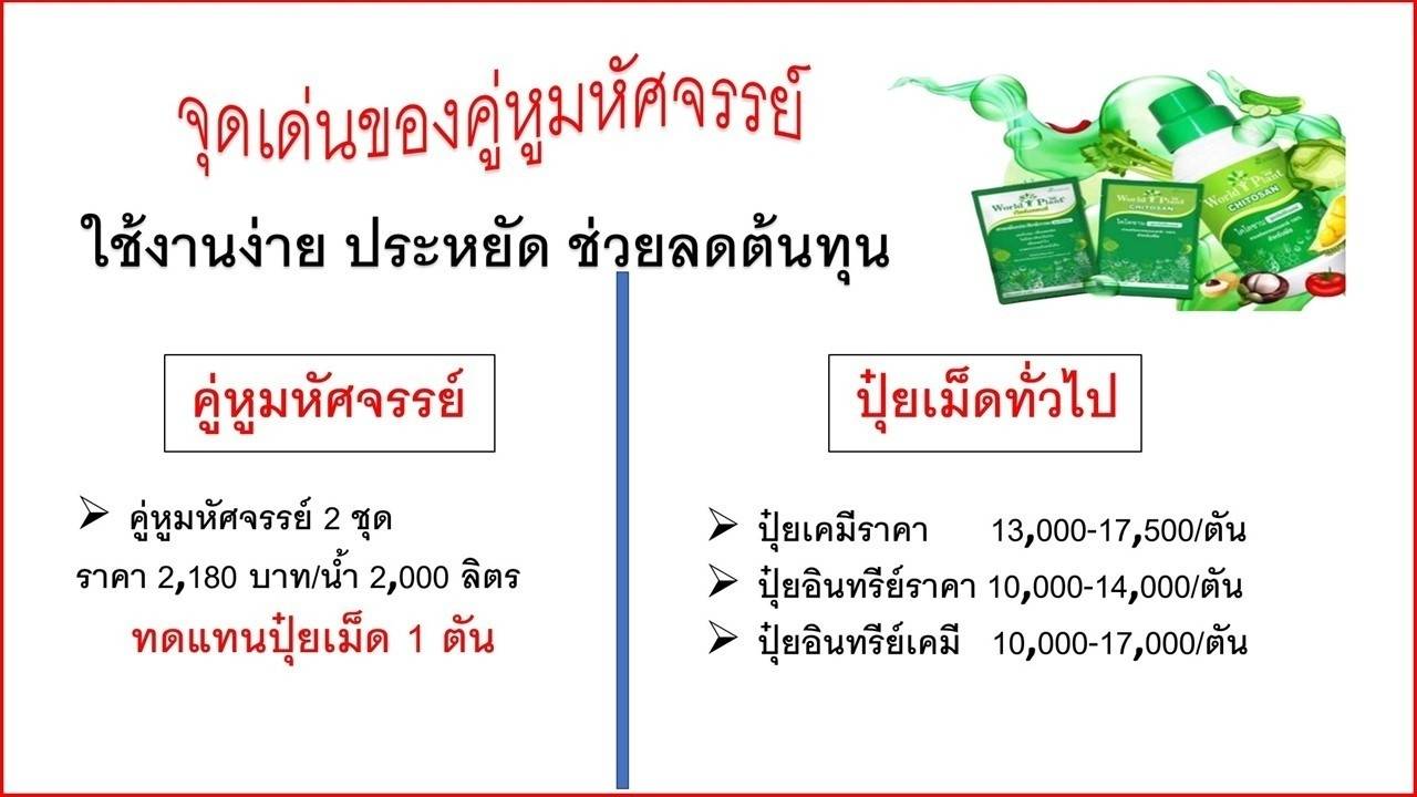 เวิลด์แพลนท์กันเชื้อรา