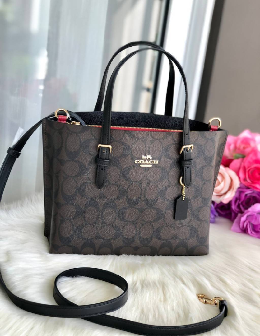 New Coach Mollie Tote 25