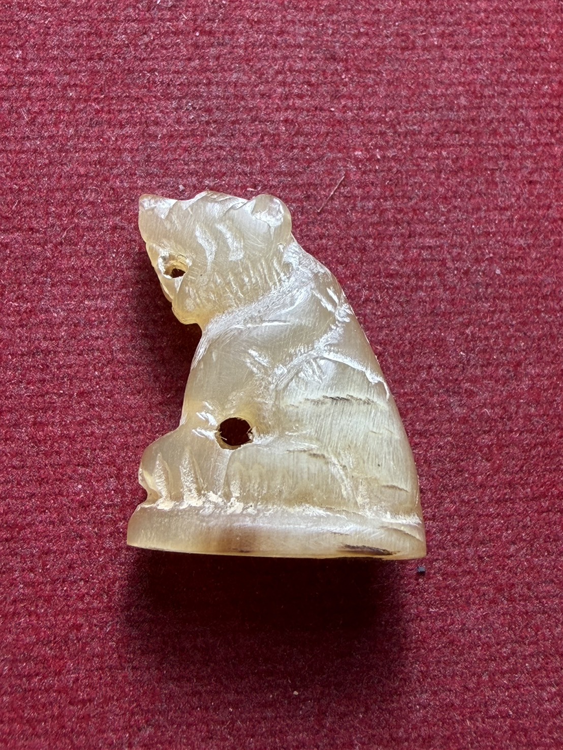 สิงห์เขาแกะ ไม่ทราบที่ (SKU-13154)