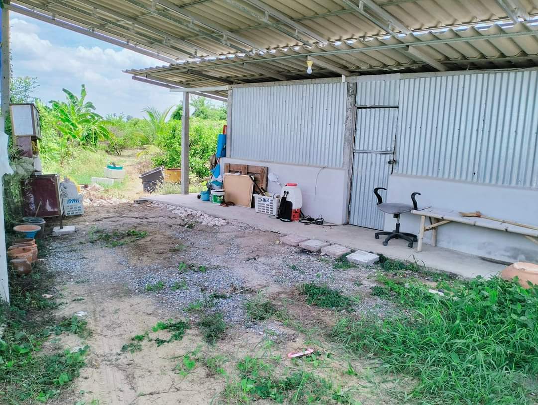 ขายที่ดิน+บ้าน+สวนมะนาว 3-0-78 ไร่ ซ.วัดกระเสียว สามชุก สุพรรณบุรี