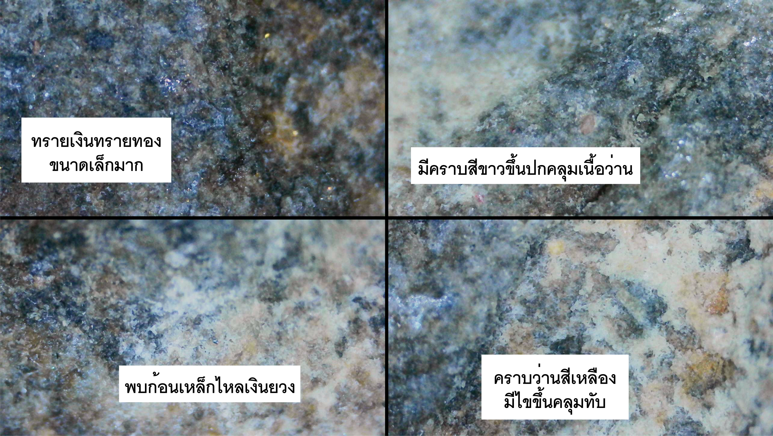 หลวงปู่ทวดเนื้อว่านหลังเจดีย์ รุ่นแจกกรรมการ ฝังตะกรุด 9 ดอก อาจารย์นองวัดทรายขาว ปลุกเสกพิธีใหญ่ ปี 2535