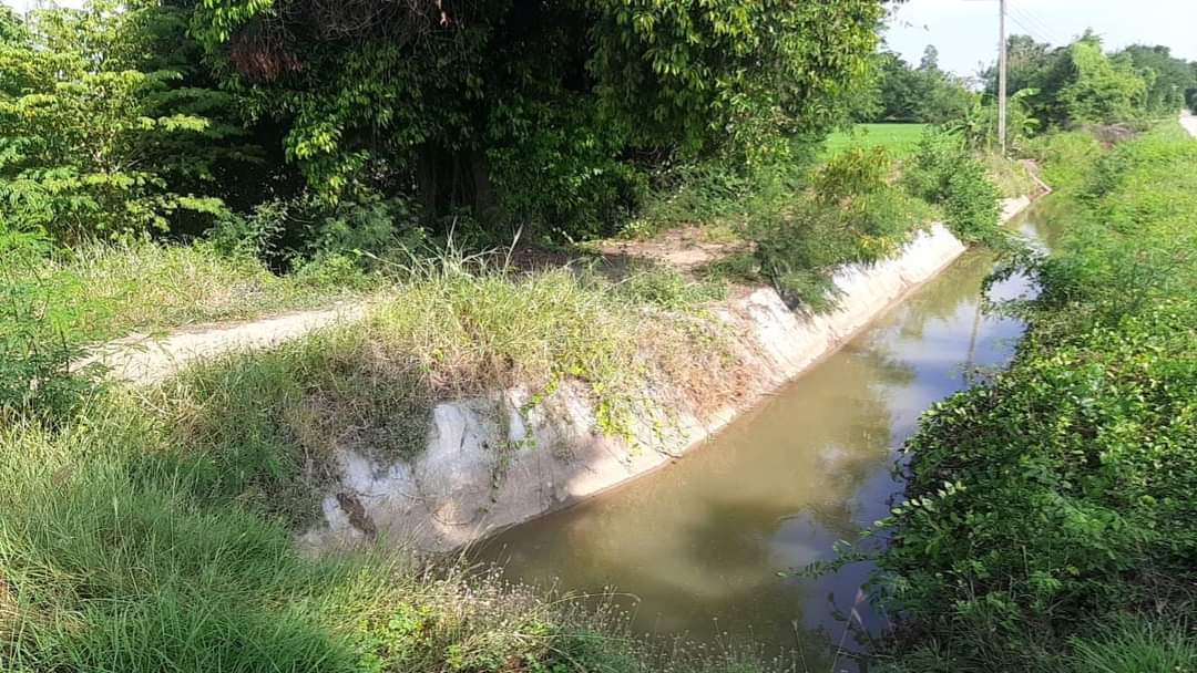 ที่ดินที่นา พื้นที่ 11-1-90 ไร่ สามชุก สุพรรณบุรี