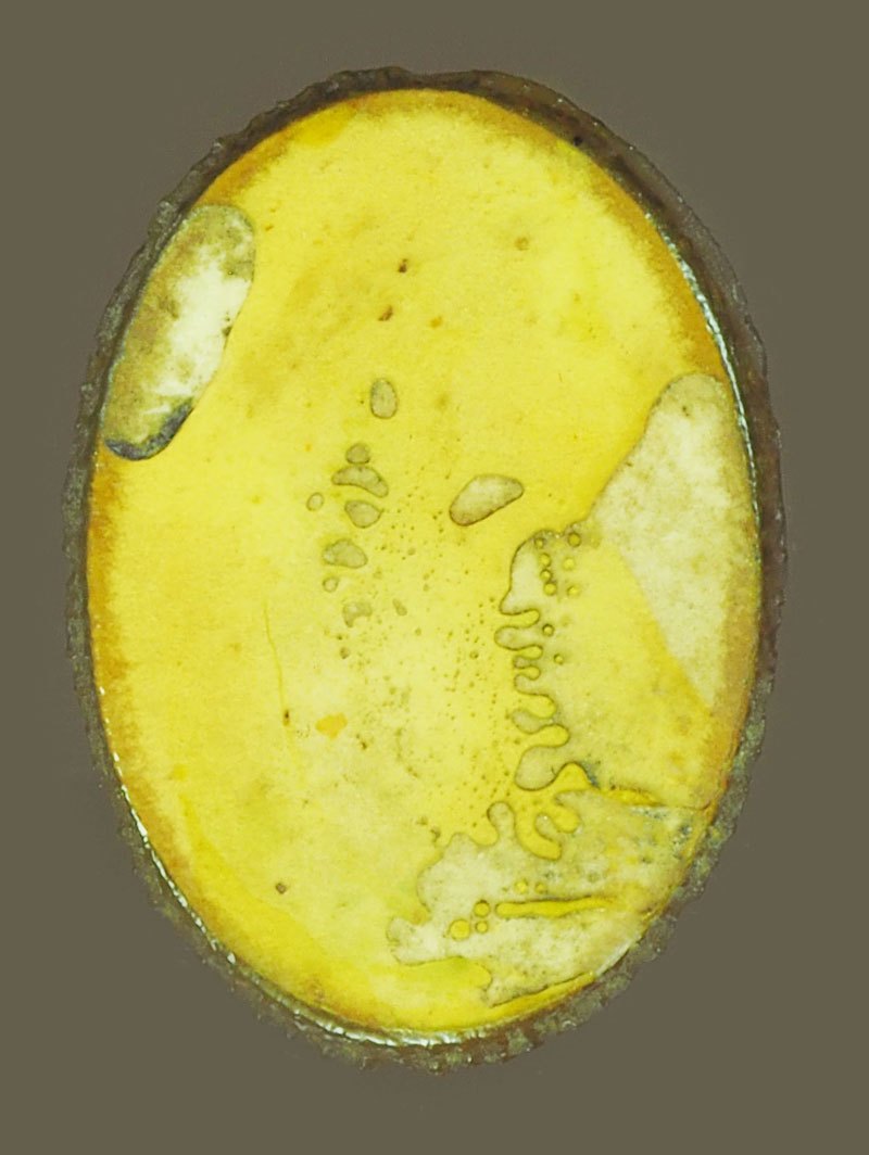 ขายแล้ว*39679 รูปถ่ายติดล็อกเก็ตอาจารย์ฝั้่น อาจาโร วัดป่าอุดมสมพร สกลนคร 74