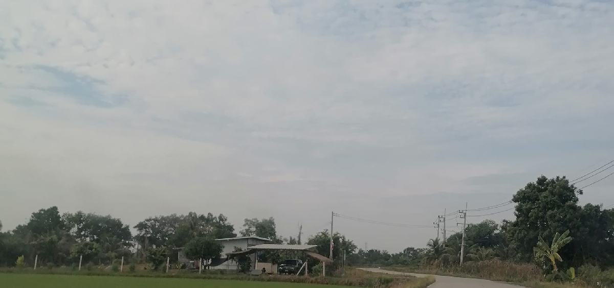 ขายที่ดินฉะเชิงเทรา 1 ไร่ 3 งาน | ติดถนน 60 ม. น้ำไม่ท่วม วิวสวย เจ้าของขายเอง