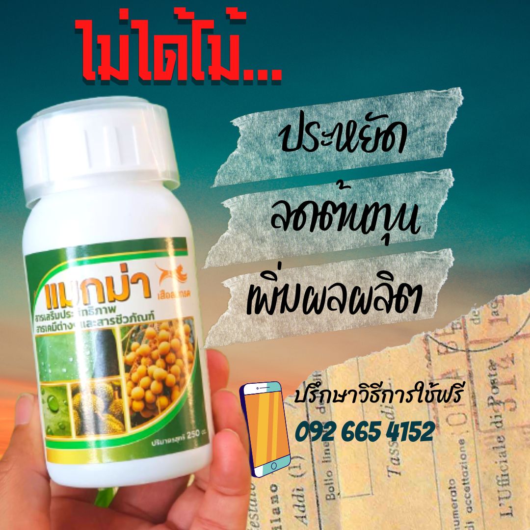 สารเสริมประสิทธิภาพ แมกม่า maxma 1 ลิตร