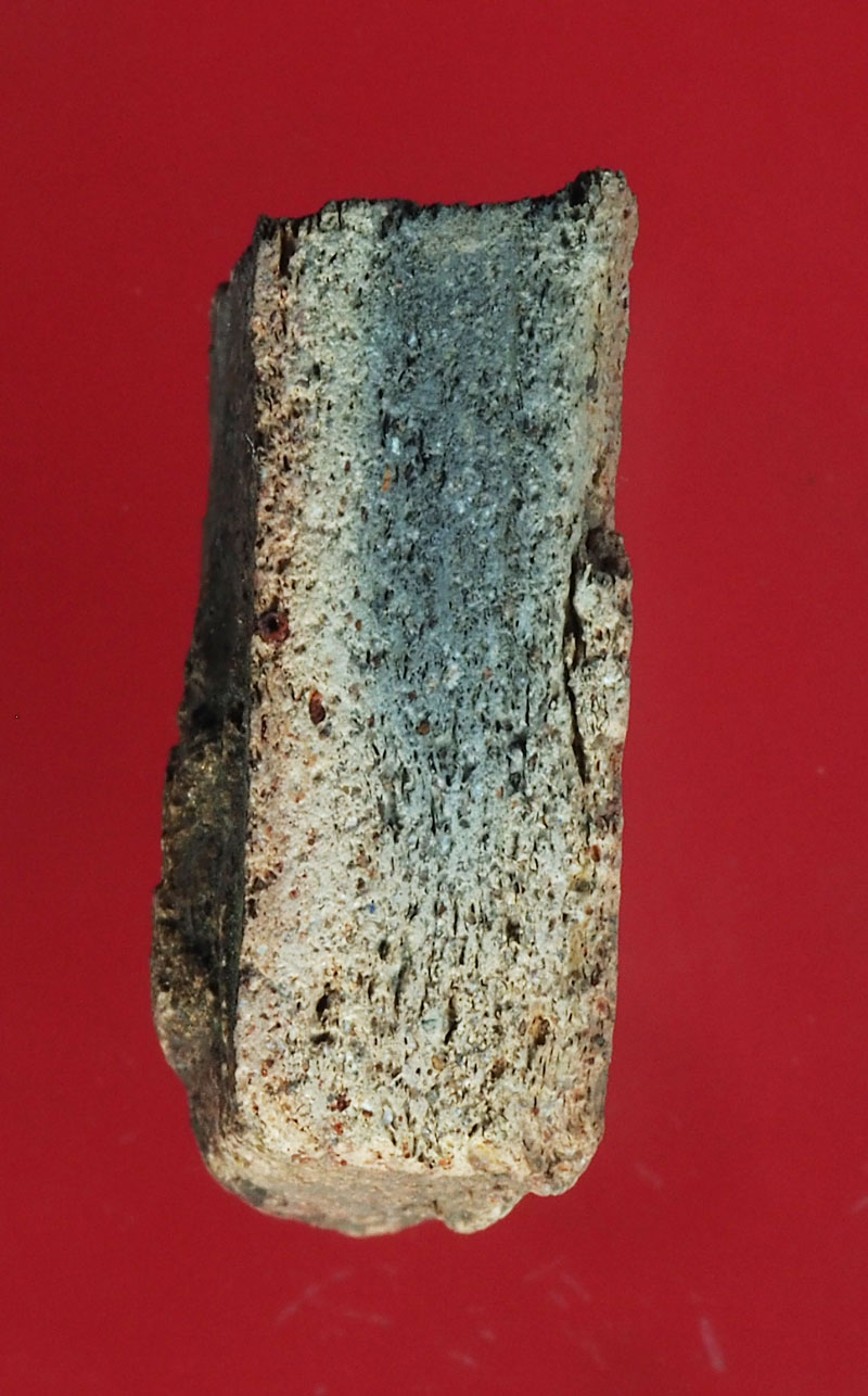 *28855 พระแผงสิบชาติ ตัดเดี่ยว กรุอยุธยา เนื้อดิน 13