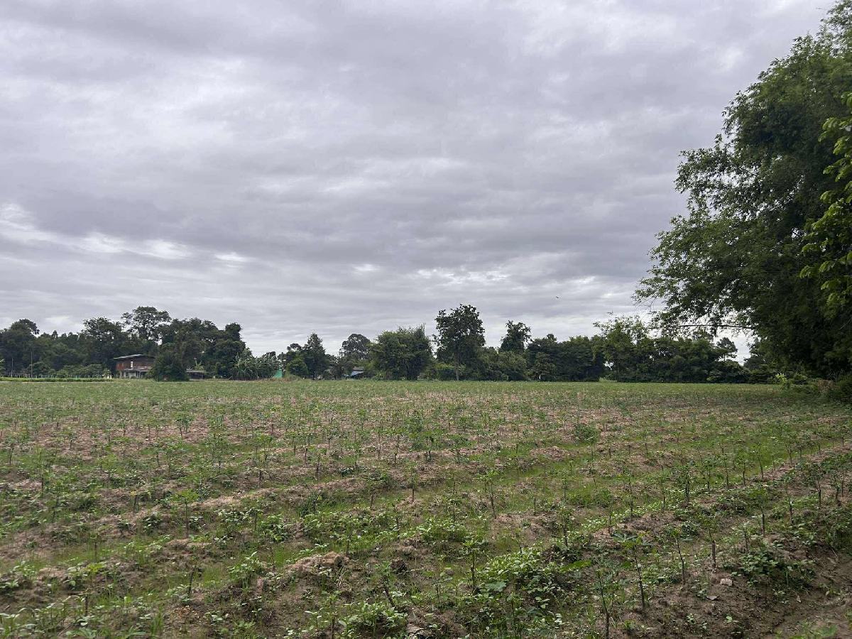 ขายที่ดิน 7 ไร่ พนมสารคาม ฉะเชิงเทรา | ใกล้วัดอ่าวสีเสียด | เจ้าของขายเอง