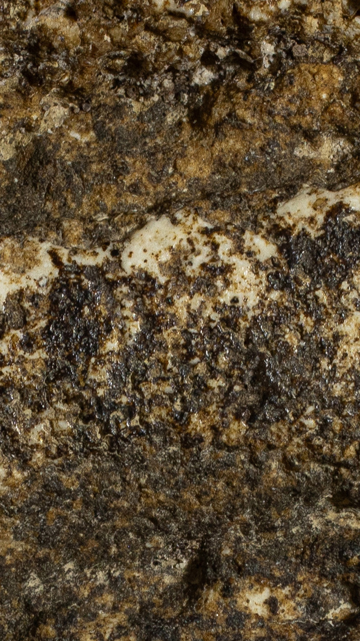 พระสมเด็จหลังกาบหมาก พิมพ์เกศบัวตูม