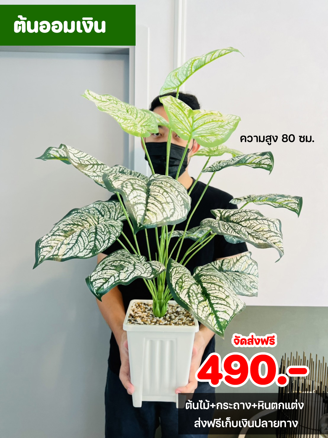 ต้นไม้ปลอม ขนาดความสูง 80 ซม. กระถางสี่เหลี่ยม พร้อมหินตกแต่ง