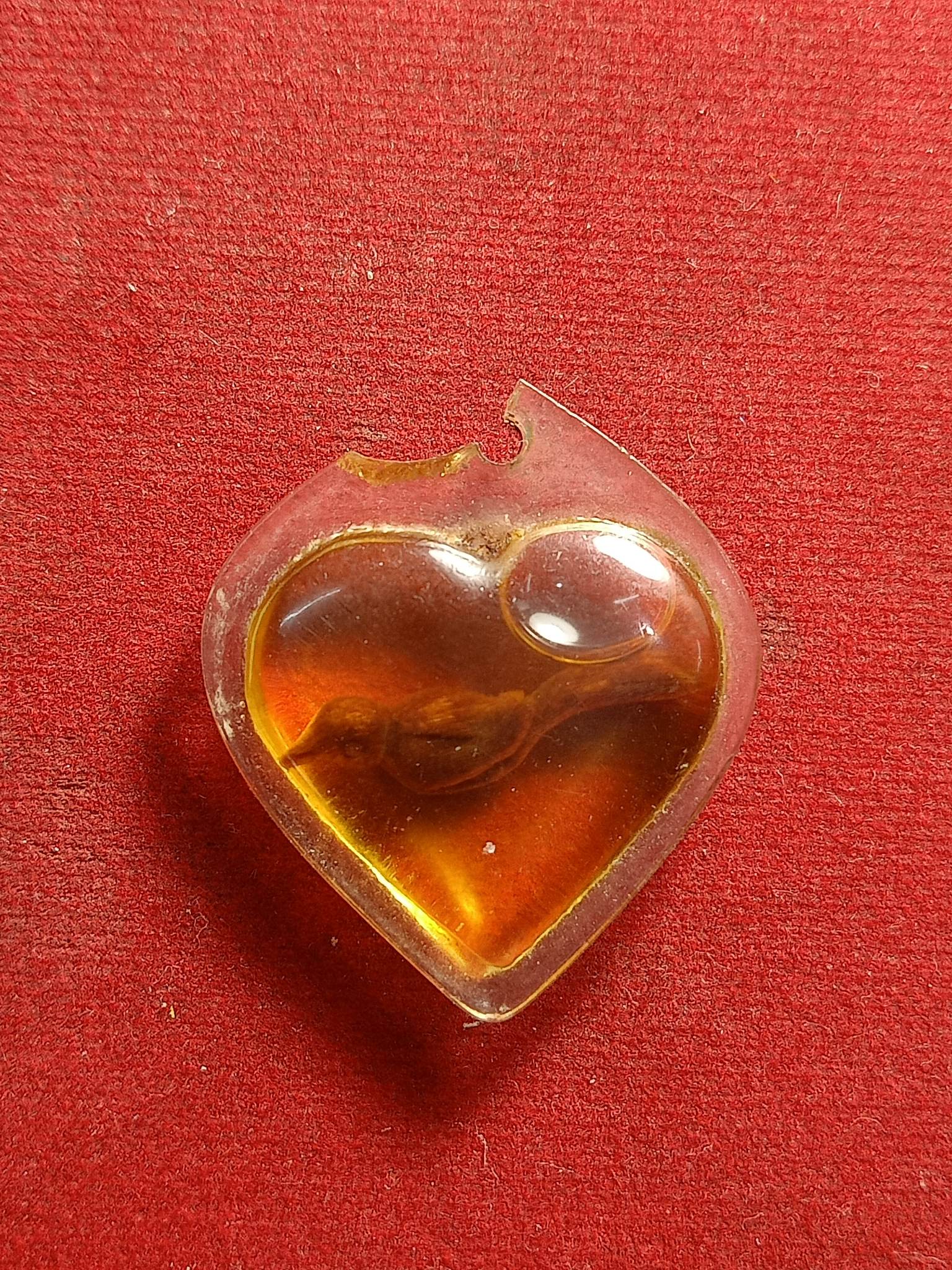 สาริกาไม่ทราบที่ (SKU-01641)