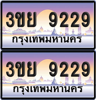ทะเบียน PAITABIEN 9229 – เลขประมูล 3ขย 9229 (4)