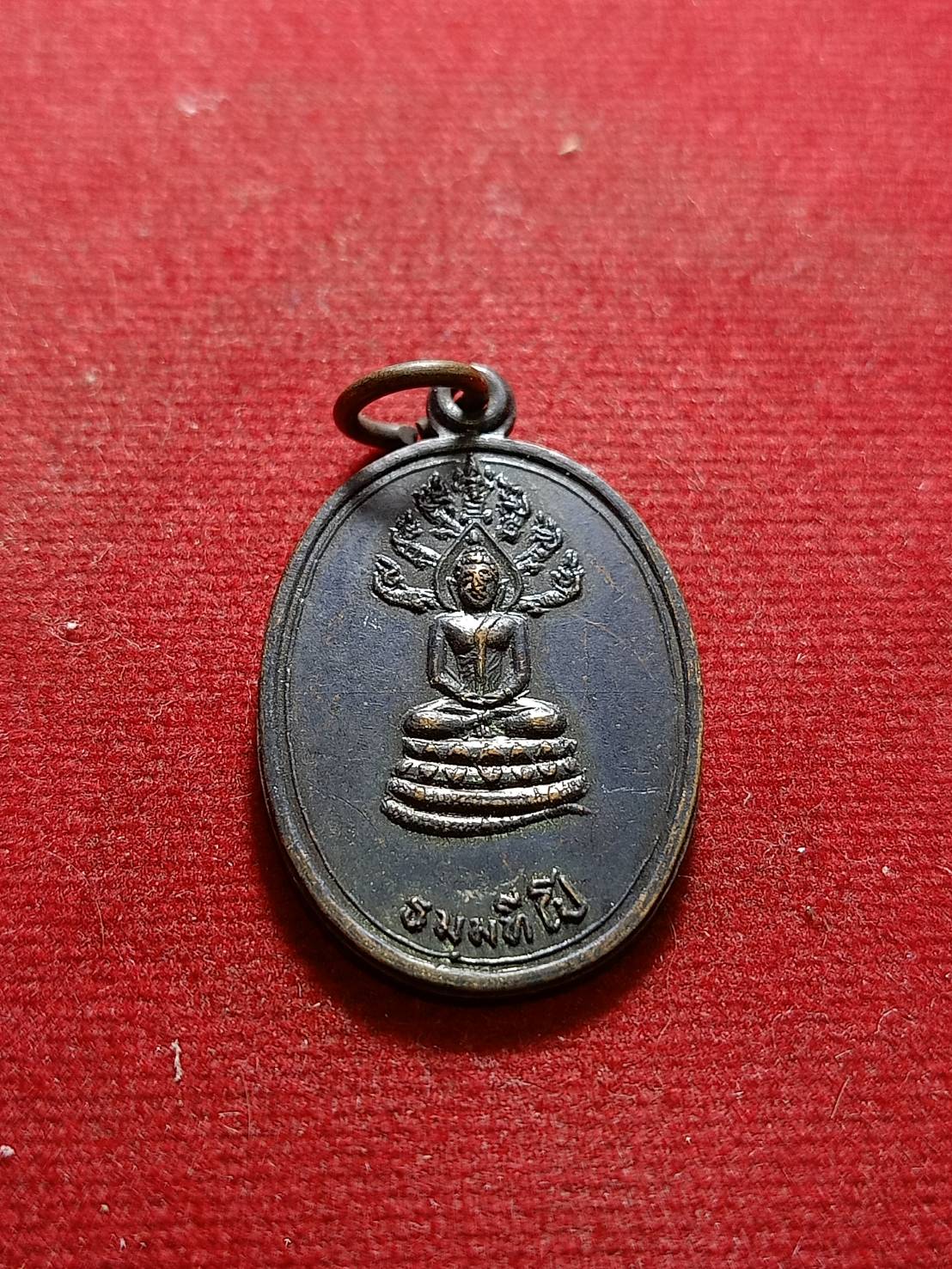 เหรียญพระนาคปรก ธมมทีโป วัดพัฒนา จ.อ่างทอง (SKU-06077)