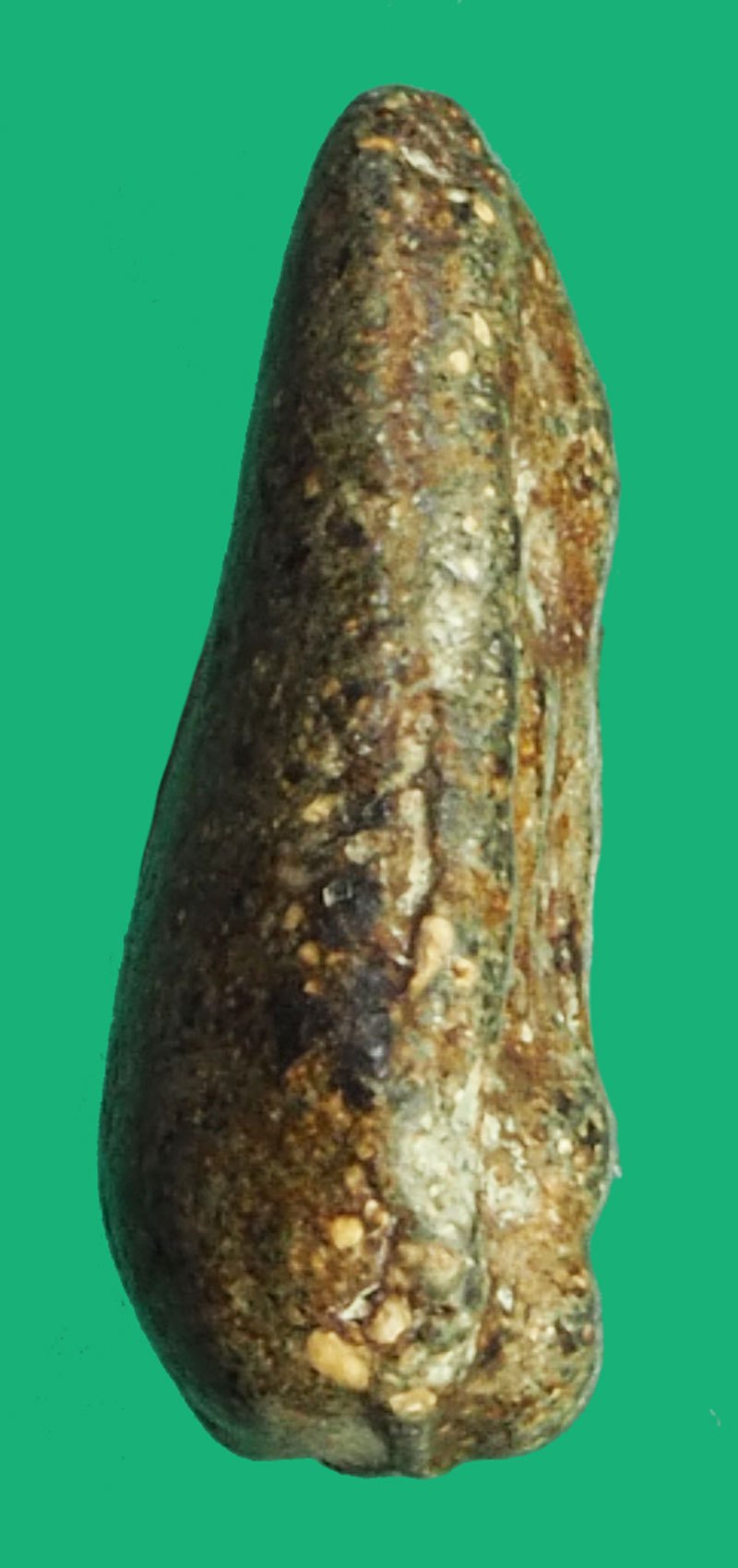 *40435 พระลึกลับกินตับทั่วไทย พระกลีบบัว เนื้อผงผสมว่าน เก่ายุค ปี 24XX ไม่ทราบที่และปีสร้าง 9