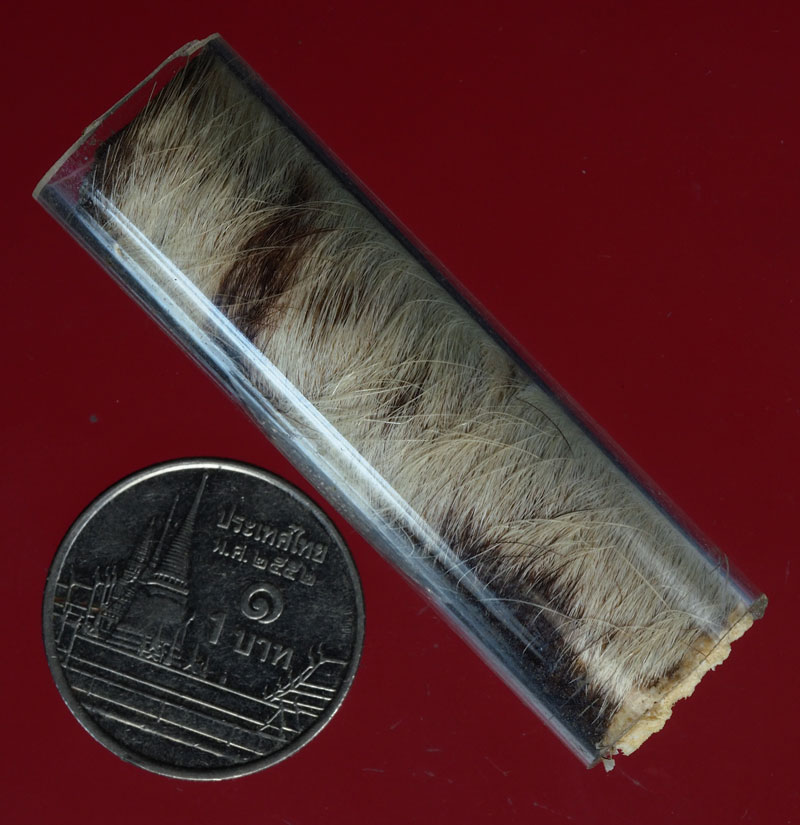 *28382 หนังสือ ไม่ทราบอาจารย์ 12