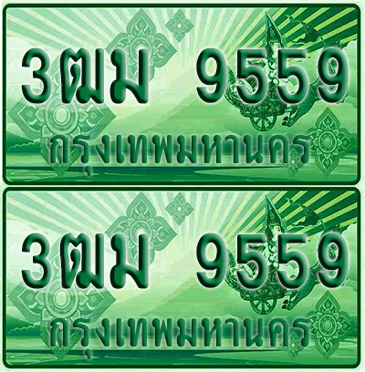 ป้ายประมูล 9559 เลขรถ 3ฒม 9559 กระบะแคป (6)