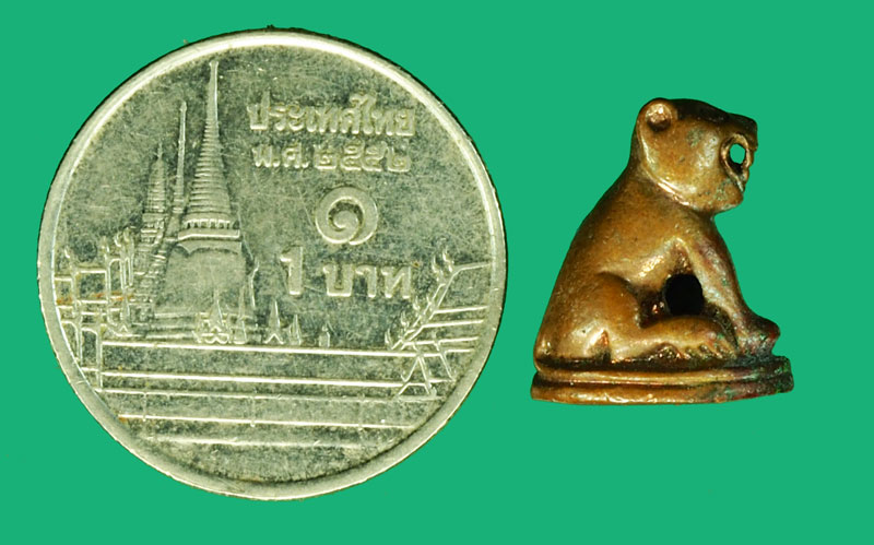 36351 เสือไม่ทราบที่และปีสร้าง เป็นเกจิอารย์ไม่เก่ามาก 12