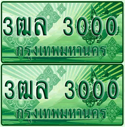 ป้ายประมูล 3000 เลขรถ 3ฒล 3000 กระบะแคป (6)