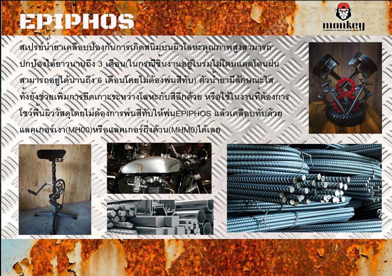 สีสเปรย์ป้องกันการเกิดสนิม(EPIPHOS)