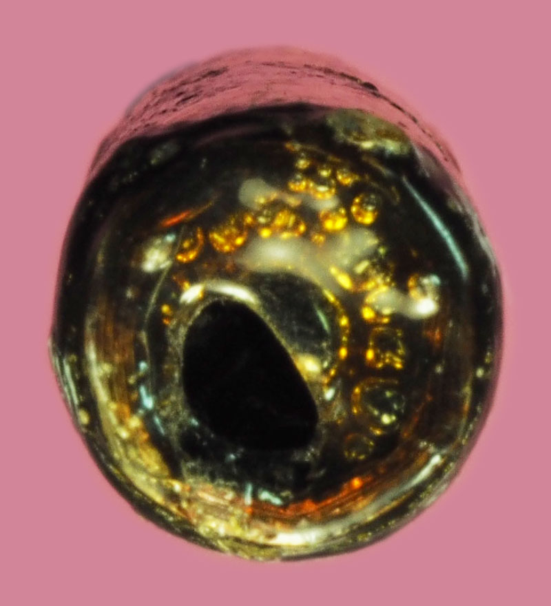 *37904 ตะกรุดลงรักปิดทอง ไม่ทราบที่และปีสร้าง ไม่เก่ามาก 12