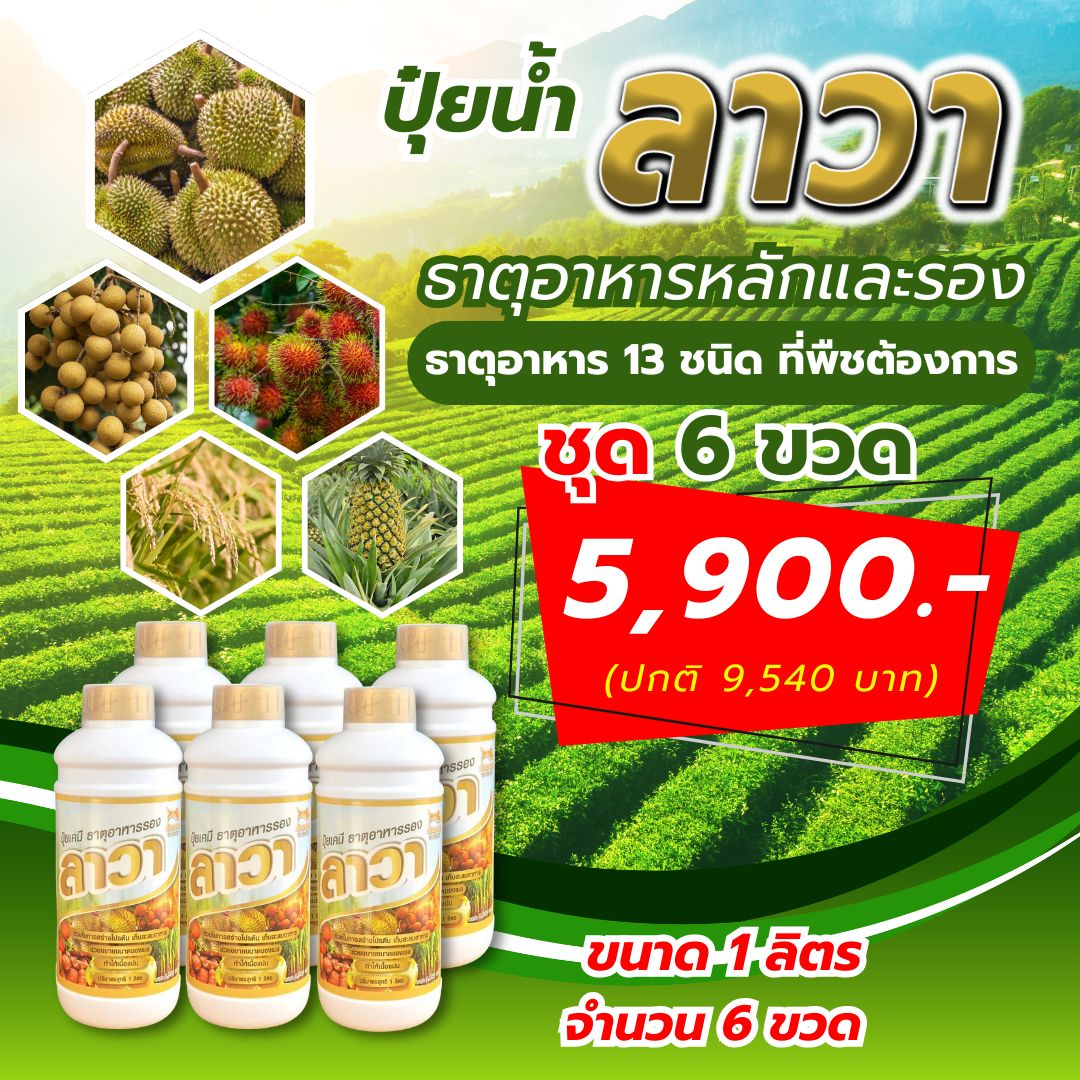 ลาวา ปุ๋ยน้ำชนิดเข้มข้นราคา โปรโมชั่นพิเศษ 1ลิตร 6ขวด