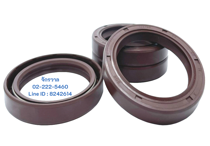 ซีลทนความร้อน Oil Seal VITON TC 100*125*13