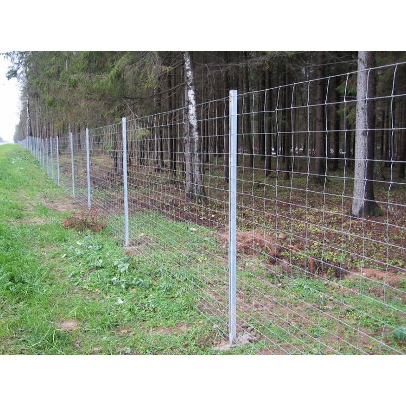 รั้วตาข่ายแรงดึงสูง ยาว50เมตร ความสูง1.2เมตร ป้ายแดง(ราคารวมแวท)ลวดล้อมคอกสัตว์ วัว แพะ ตาข่ายลวดเหล็ก {0102102602}