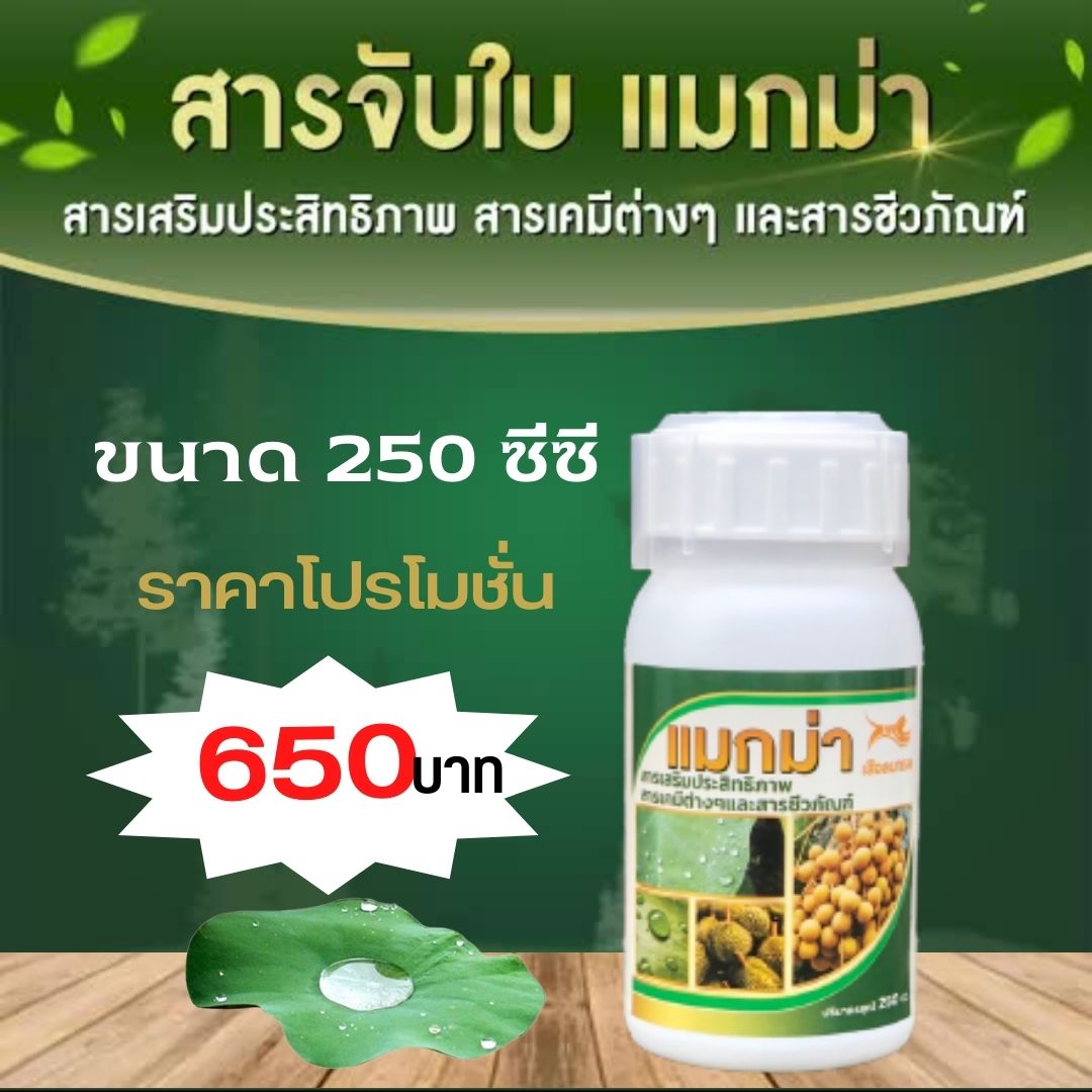 สารจับใบแมกม่า - Maxma สารเสริมประสิทธิภาพดูดซึมเร็วสูตรเข้มข้นใช้ได้กับพืชทุกชนิด