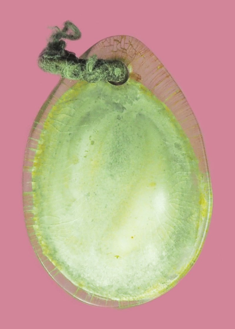 *39586 เบี้ยแก้เลี่ยมพลาสติกเก่าหลายสิบปี ไม่ทราบและปีสร้าง 12