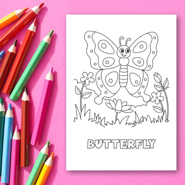 สมุดระบายสีสัตว์ป่า Wildlife Coloring Book