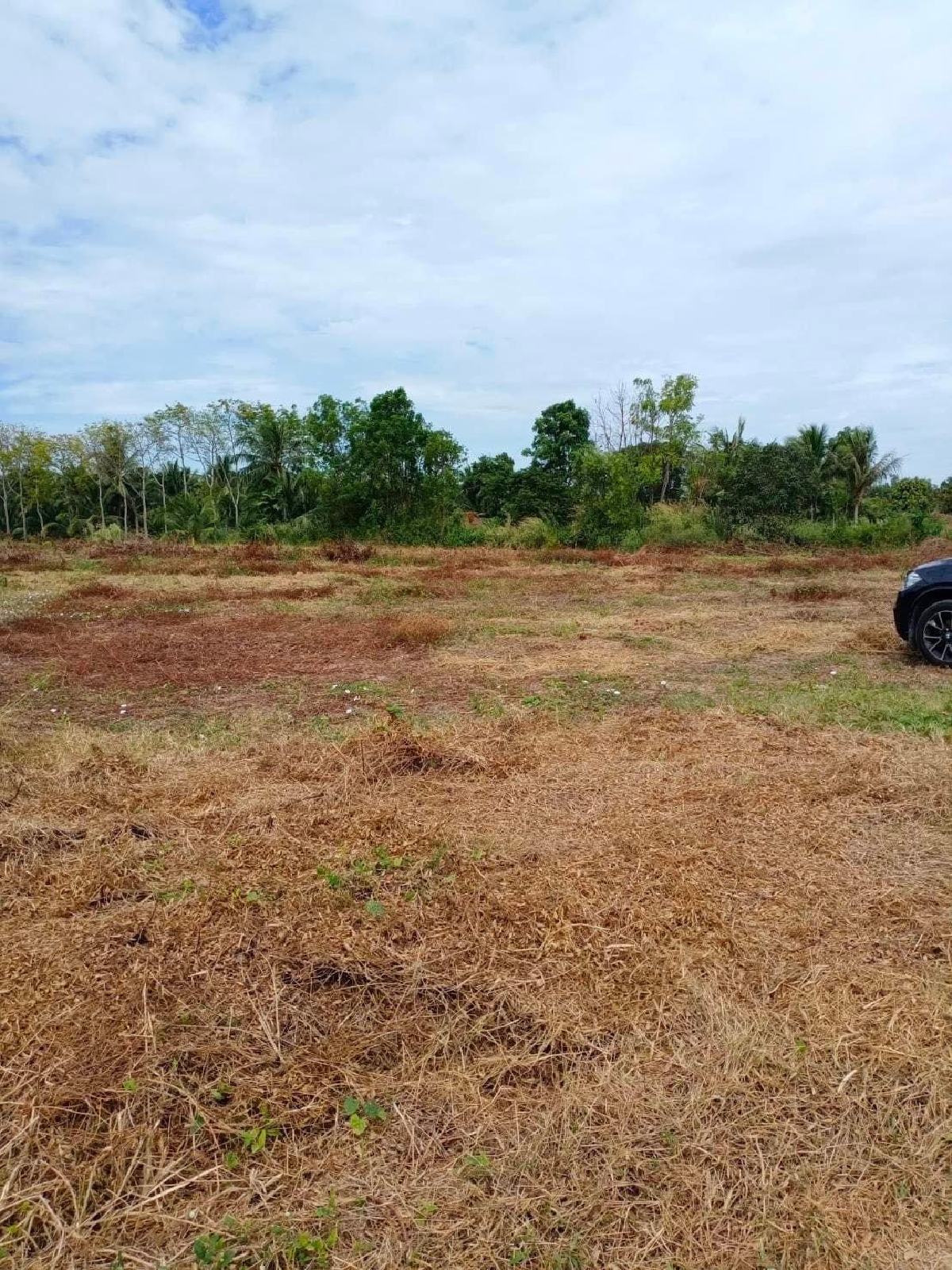 ขายที่ดิน คลองเขื่อน 763 ตรว. | ทำเลติดถนนใหญ่ | เจ้าของขายเอง